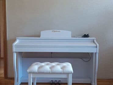 piano oturacağı: Пианино, Цифровой — 1