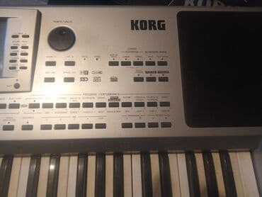 səs dinamik: Korg PA 80 0506747010 — 1