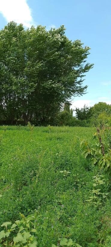 kiraye evlər: 3 otaqlı, 132 kv. m, Kredit yoxdur, Yeni təmirli — 13