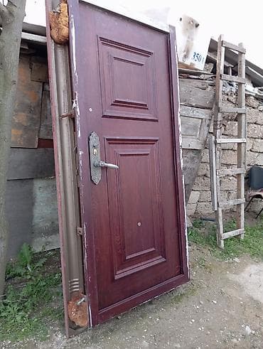 Metall karkaslı giriş qapısı və şüşəli yan pəncərə paneli dəsti -