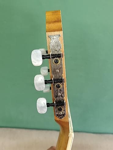 gitara sim: Valencia VC354 Green klassik gitara - Brend/model: Valencia VC354 — 8