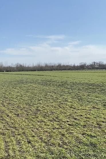 500 sot, Kənd təsərrüfatı, Mülkiyyətçi, Kupça (Çıxarış)