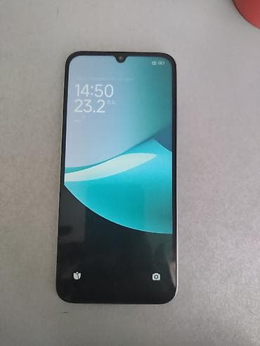 Xiaomi 15