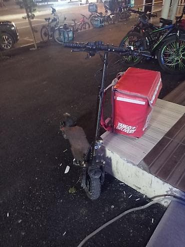 dəmir pullar: Skuter yaxşı vəziyyətdədir pula ehdiyac olduğu üçün satılır kuryerliy — 1