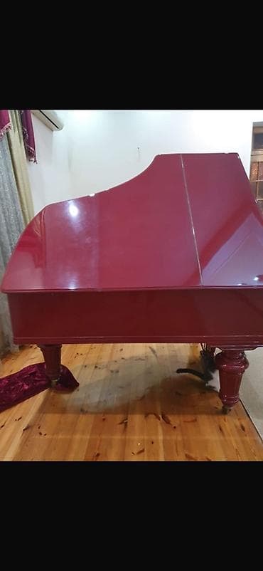 Musiqi alətləri: Çarlıq Rusiyasının ən nüfuzlu və saray təsdiqli piano — 2