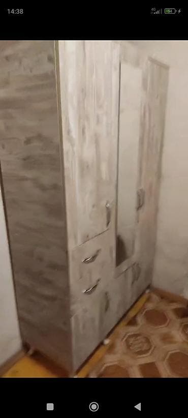 dəhliz dolablar: 3 qapılı, Güzgülü, Digər rəng, Taxta, Açılan, Düz dolab — 1