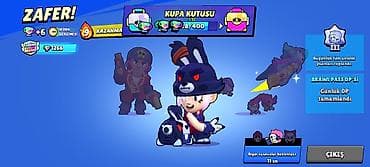 Mühasibat uçotu | Mühasibat uçotunun bərpası