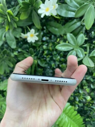 Apple iPhone: IPhone 11, 64 ГБ, Белый, Беспроводная зарядка — 4