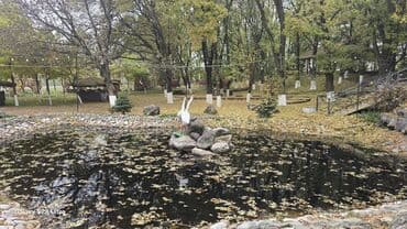 Qabyuyan, 28 yaş, 3-5 illik təcrübə