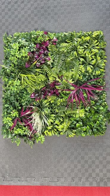 divar ucun paneller: Süni “yaşıl divar” panelləri – dekorativ bitki kompozisiyaları - — 4