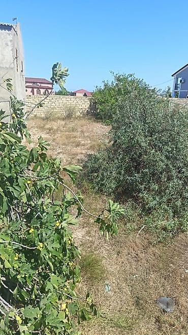 xacmazda torpaq satışı: Novxanida mohtesem torpag satisa cixddi heyet qum komunlar var — 6