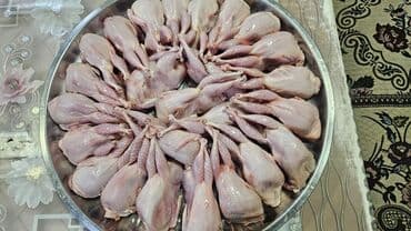 toyuq doş ətinin qiyməti: 190- 210 qr kesilib temizlenmis bildircinler ve mayali bildircin — 2