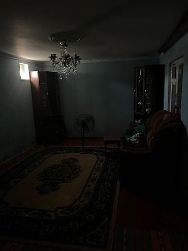 berde ev: Bağ sahəsi və yardımçı tikili - Üzüm tağları ilə örtülü, yaşıllıqla — 7