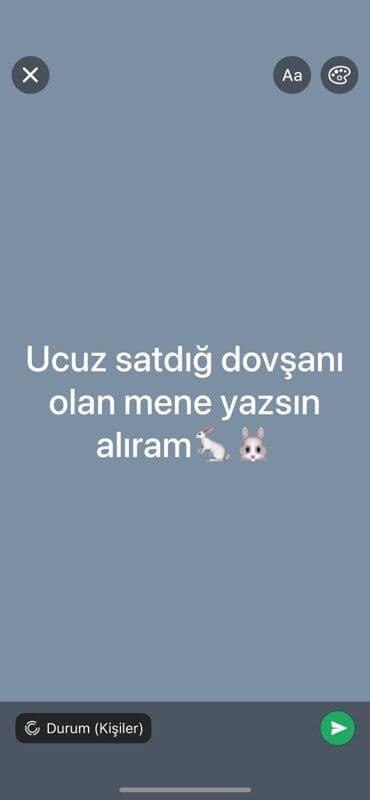 ən ucuz pişiklər: Axtarılır: Ucuz qiymətə dovşan Mətn: “Ucuz satdığı dovşanı olan mənə — 1