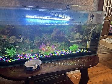 Птицы: Прямоугольный аквариум, Вместе с рыбами, 88 л — 2