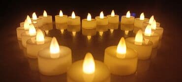 soya mumu satışı: Şam Slindrik — 2