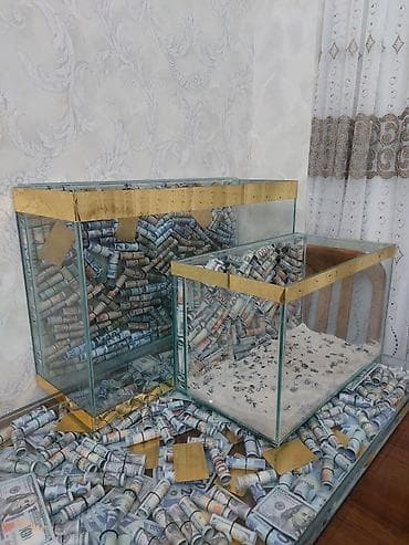ev dekorları: 70×45×25 bõyük olan.Balaca olan 50×30×25. isdədiyiviz õlçû sifariş — 10