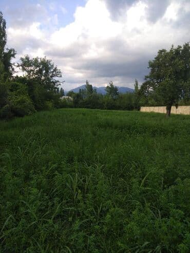 torpağ sahəsi: 20 sot, Tikinti, Mülkiyyətçi, Kupça (Çıxarış) — 7