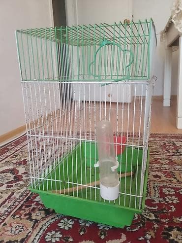 qefes satisi: Real Alıcıya Endirim Olajax Quş qəfəsi – orta ölçülü, ev quşları üçün — 1