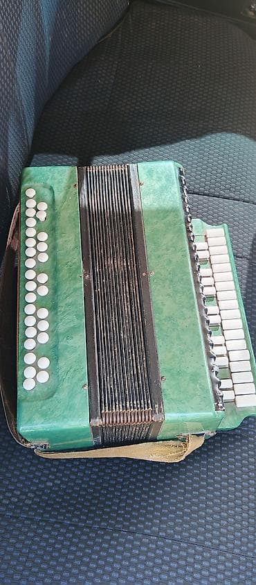 elektro gitara satilir: Akustik Akkordeon — 1