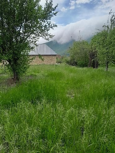 Satış üçün torpaq sahəsi - Yaşıl örtüklü, meşəyə yaxın, təbiətlə