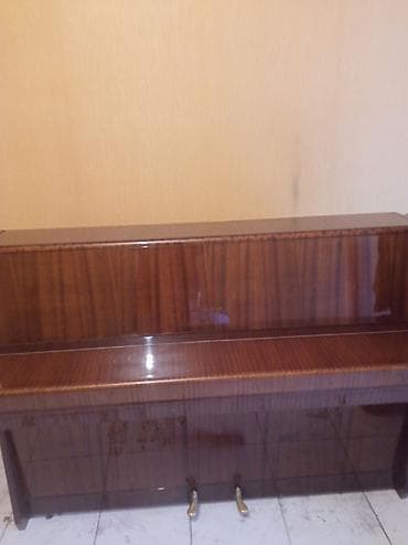 samovar 3 litr: Piano, Petrof, Akustik, İşlənmiş, Ödənişli çatdırılma — 2