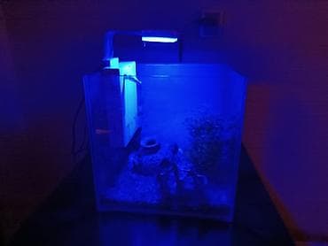 Akvarium dəsti - Şəffaf şüşə akvarium, kub formalı - Yuxarıdan
