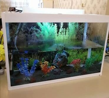 Dördbucaq akvarium, 50 l, Ünvandan götürmə