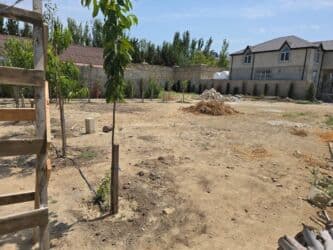 Mənzillər: 8 sot, Mülkiyyətçi, Kupça (Çıxarış) — 11