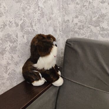 Yemək masaları, oturacaqları: Təzə Plyuş it oyuncaq - Yumşaq plyuş materialdan hazırlanıb, toxunuşu — 2