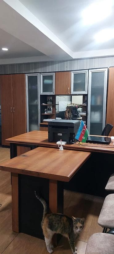 kiray: Ofis şəxsidir çıxarışı qeyriyaşayışdır yeri Sarapskiplaza ərazisi 5 — 1