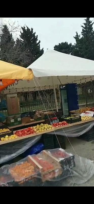 Строительные леса: Ticari çadır – meydança, yarmarka və açıq hava satışları üçün - Tip at lalafo.az — 4 Строительные леса: Ticari çadır – meydança, yarmarka və açıq hava satışları üçün - Tip — 4