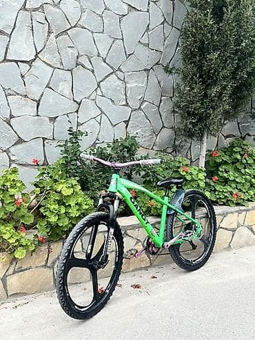 Велосипеды: GANGT GT1.0 dağ velosipedi - Çərçivə: yüngül alyumini, parlaq yaşıl — 5