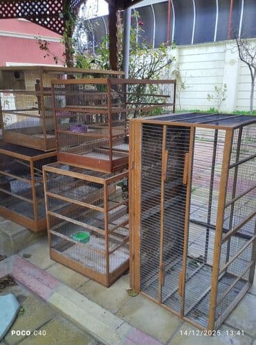 Yalniz zeng Quşlar üçün nəzərdə tutulmuş, yaşıl damlı və ağ metal