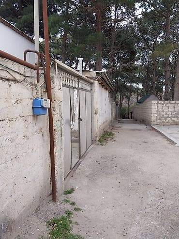 ev alqi satqi kiraye: Sumqayıt şəhəri Hacı Zeynalabdin Tagıyev qəsəbəsi ( Nasosnu ) 4-5 sot — 4