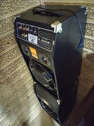 Mikrofonlar: TEMEISHENG Professional Sound – Karaoke və tədbirlər üçün səs sistemi — 3