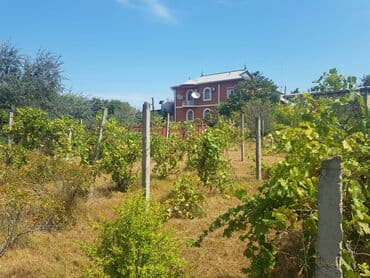 dübəndi torpaq: 23 sot, Tikinti, Makler, Kupça (Çıxarış) — 2