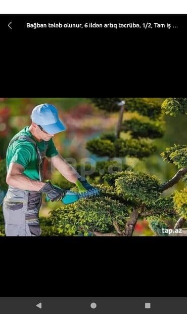 generator təmiri: Salam men sebail,sahil, iceri seher,28 may,badamdar erazilerinde — 1