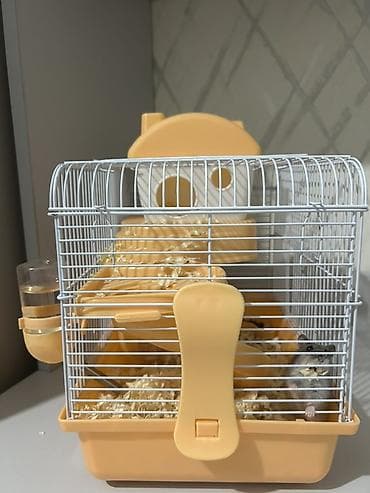 Heyvanlar üçün mallar: Cırtdan hamster və qəfəs dəsti Üsdündə çimək üçün qum və hamıstır — 5