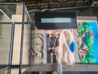 canlı yem: Şüşə akvarium komplekti - Ölçü: 45×20 sm (dikdörtgen forma, geniş ön — 9