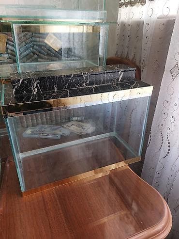 yumru akvarium satisi: Çatdırılma tam pulsuzdu ölçü və dizaynında dəyişiklik etməy olar arxa — 5