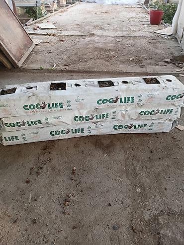 bitki satışı: COCO LIFE kokos substrat - 12 000+ ədəd hazır! Samuxda 3 hektarlıq — 2