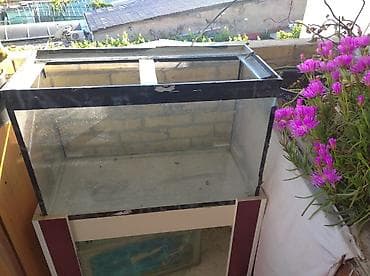 akvarium ve baliqlar: Dördbucaq akvarium, Boş, 90 l, Ünvandan götürmə — 3