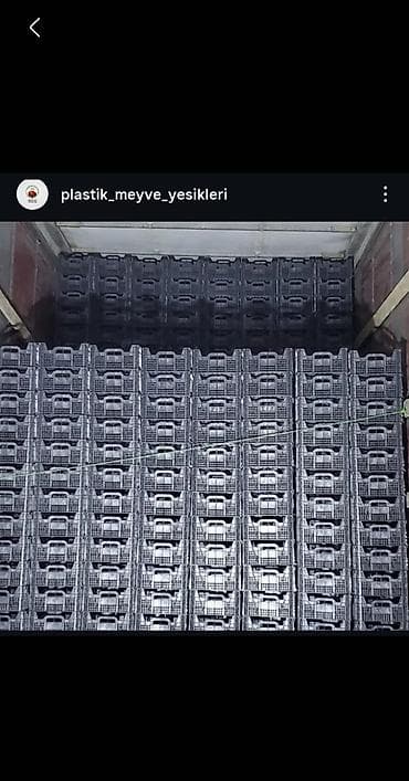 meyvə polkasi: Məhsul: Təzə bağ məhsulları – müxtəlif növ almalar və mövsümi — 8