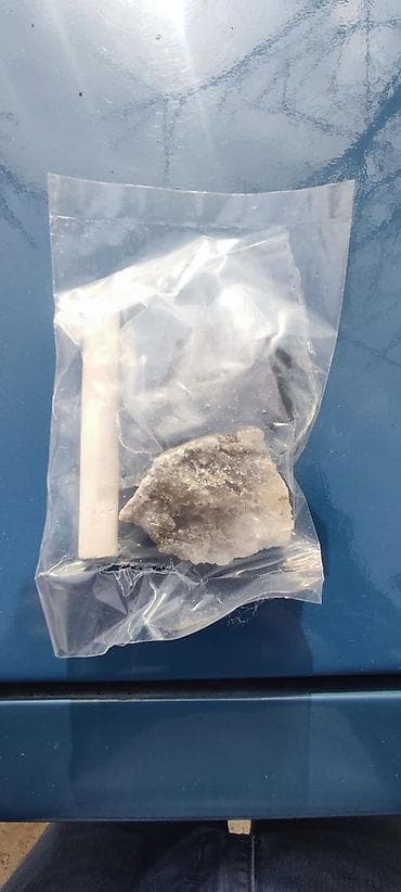 ordek bala: 🐦 Əziz papuqay saxlamaq istəyənlər super kampaniya! 🐦 Papuqay — 2