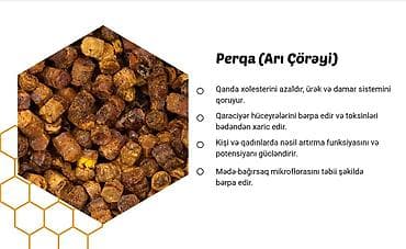 bal arısı satışı: 🍯✅ Yüksək keyfiyyətli Kəlbəcər balının və arı məhsullarının tək — 7