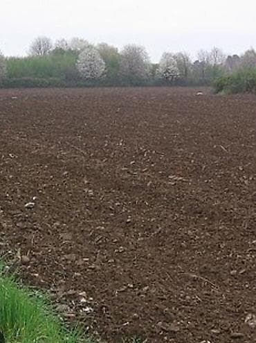 7 sot, Kənd təsərrüfatı