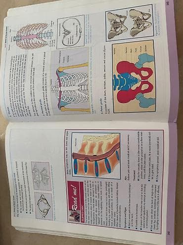 bas gitara: Məhsul: “Biology 3” dərsliyi Nəşriyyat: Sürat Publications ( — 4