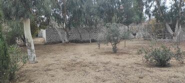 lenkeranda torpaq: 7 sot, Tikinti, Kupça (Çıxarış) — 2