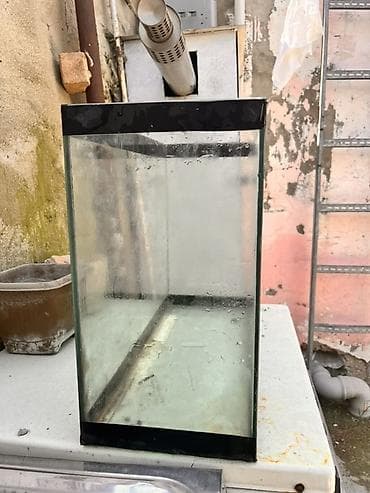 keçi satanlar: Qırıqsız cızıqsız satılır hava ponpası üzerinde heddiye — 3